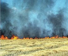 За випалювання стерні херсонським землевласникам погрожують штрафами